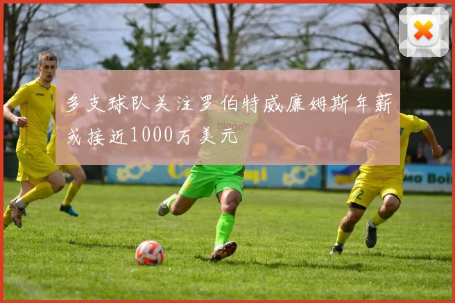多支球队关注罗伯特威廉姆斯年薪或接近1000万美元