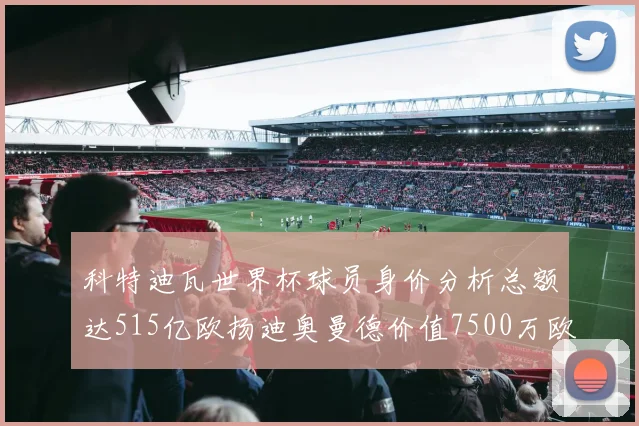科特迪瓦世界杯球员身价分析总额达515亿欧扬迪奥曼德价值7500万欧