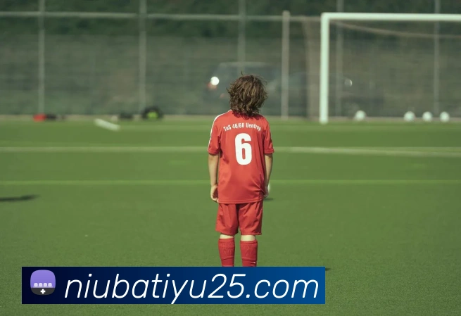 牛八体育发展历程